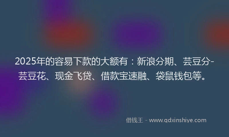 2025年的容易下款的大额有：新浪分期、芸豆分-芸豆花、现金飞贷、借款宝速融、袋鼠钱包等。