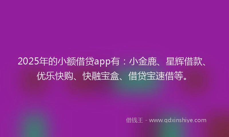 2025年的小额借贷app有：小金鹿、星辉借款、优乐快购、快融宝盒、借贷宝速借等。