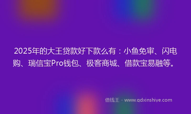 2025年的大王贷款好下款么有：小鱼免审、闪电购、瑞信宝Pro钱包、极客商城、借款宝易融等。