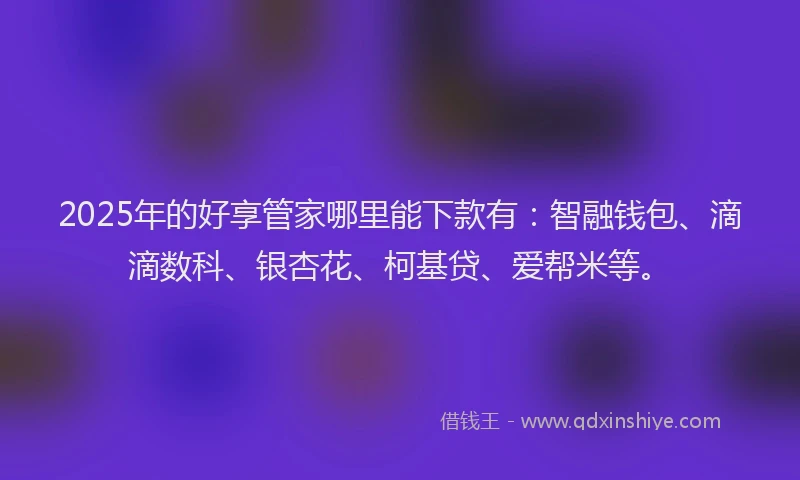 2025年的好享管家哪里能下款有：智融钱包、滴滴数科、银杏花、柯基贷、爱帮米等。