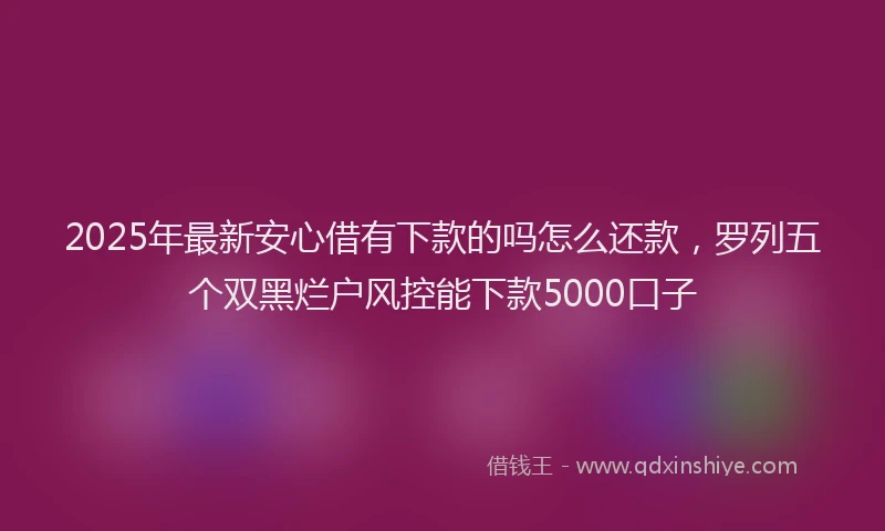 2025年最新安心借有下款的吗怎么还款，罗列五个双黑烂户风控能下款5000口子