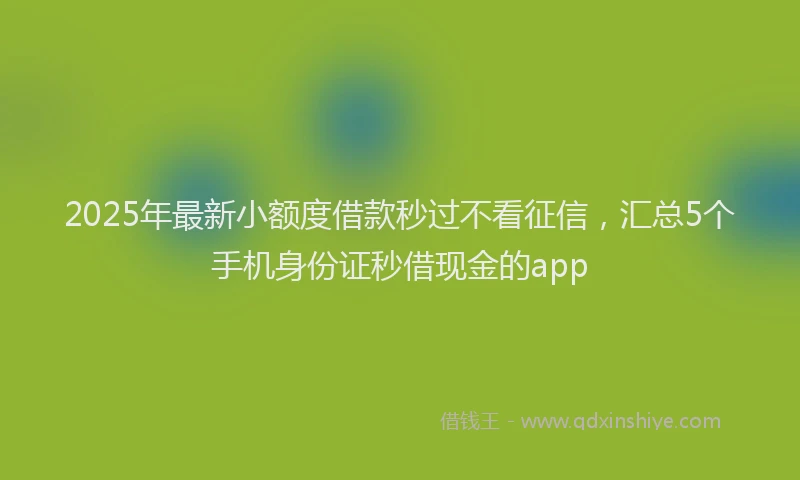 2025年最新小额度借款秒过不看征信，汇总5个手机身份证秒借现金的app