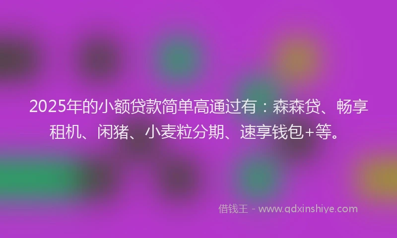2025年的小额贷款简单高通过有：森森贷、畅享租机、闲猪、小麦粒分期、速享钱包+等。