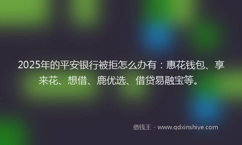 2025年的平安银行被拒怎么办有：惠花钱包、享来花、想借、鹿优选、借贷易融宝等。
