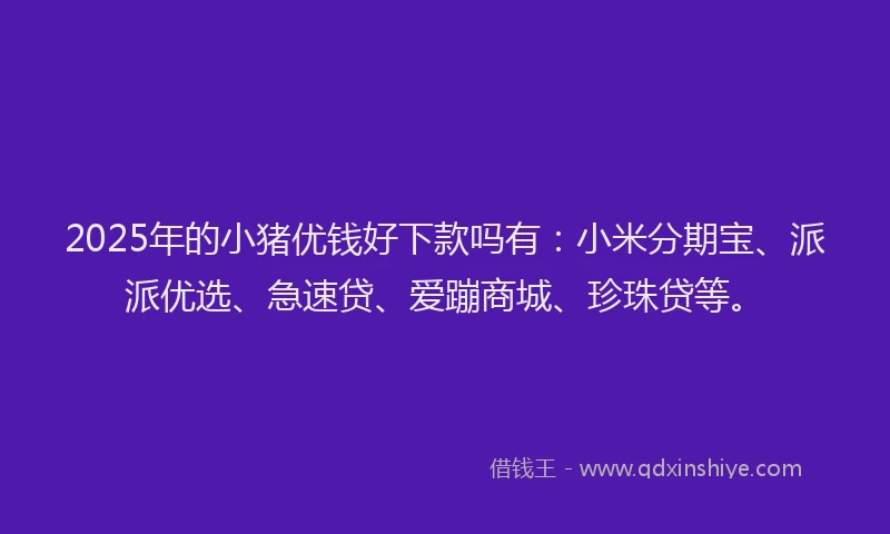 2025年的小猪优钱好下款吗有：小米分期宝、派派优选、急速贷、爱蹦商城、珍珠贷等。