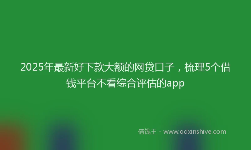 2025年最新好下款大额的网贷口子，梳理5个借钱平台不看综合评估的app