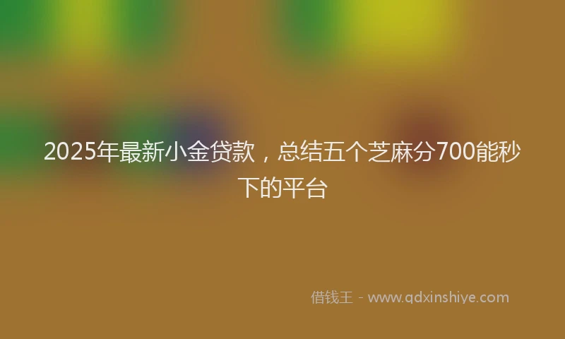 2025年最新小金贷款，总结五个芝麻分700能秒下的平台