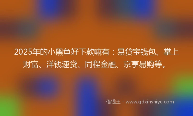 2025年的小黑鱼好下款嘛有：易贷宝钱包、掌上财富、洋钱速贷、同程金融、京享易购等。