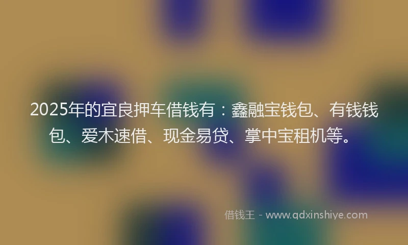 2025年的宜良押车借钱有：鑫融宝钱包、有钱钱包、爱木速借、现金易贷、掌中宝租机等。