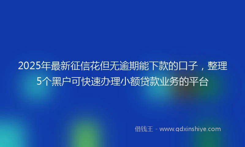 2025年最新征信花但无逾期能下款的口子，整理5个黑户可快速办理小额贷款业务的平台