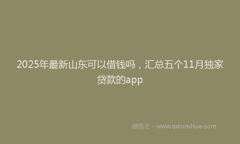 2025年最新山东可以借钱吗，汇总五个11月独家贷款的app