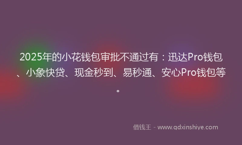 2025年的小花钱包审批不通过有：迅达Pro钱包、小象快贷、现金秒到、易秒通、安心Pro钱包等。