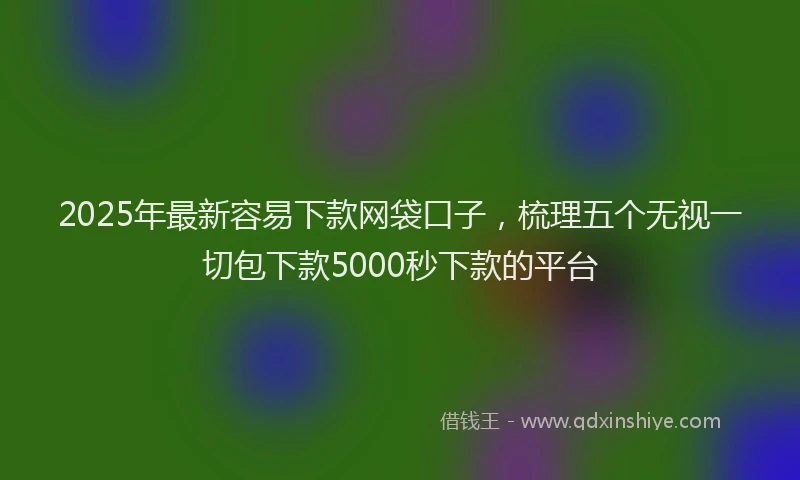 2025年最新容易下款网袋口子，梳理五个无视一切包下款5000秒下款的平台
