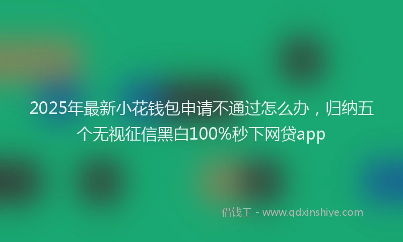 2025年最新小花钱包申请不通过怎么办，归纳五个无视征信黑白100%秒下网贷app