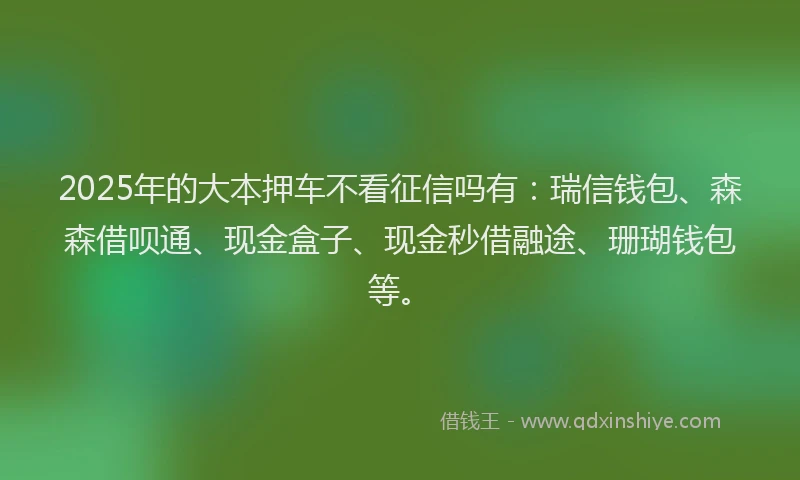 2025年的大本押车不看征信吗有：瑞信钱包、森森借呗通、现金盒子、现金秒借融途、珊瑚钱包等。
