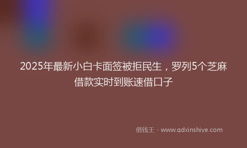 2025年最新小白卡面签被拒民生，罗列5个芝麻借款实时到账速借口子