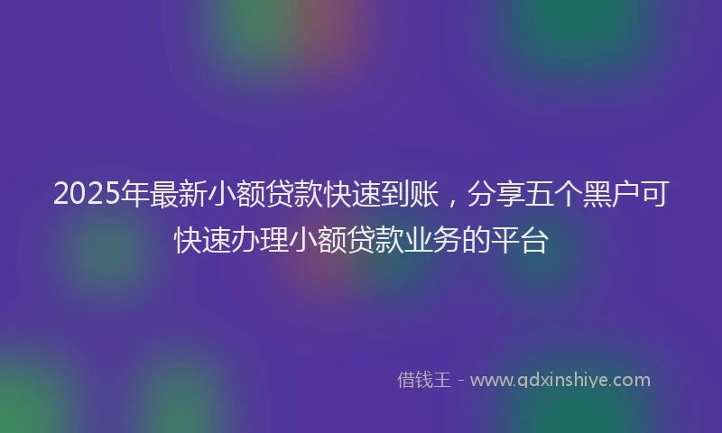 2025年最新小额贷款快速到账，分享五个黑户可快速办理小额贷款业务的平台