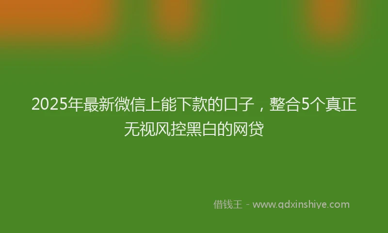2025年最新微信上能下款的口子，整合5个真正无视风控黑白的网贷