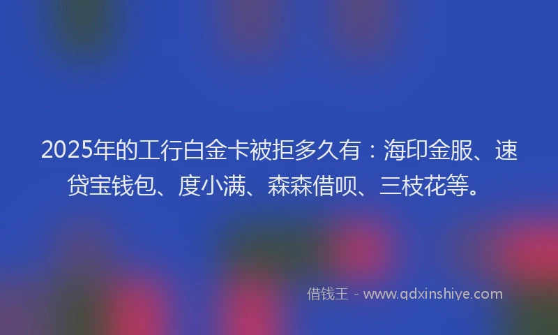 2025年的工行白金卡被拒多久有：海印金服、速贷宝钱包、度小满、森森借呗、三枝花等。