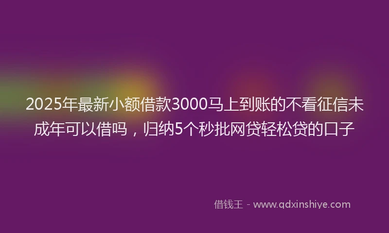 2025年最新小额借款3000马上到账的不看征信未成年可以借吗，归纳5个秒批网贷轻松贷的口子