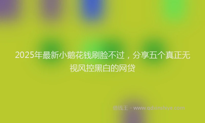 2025年最新小鹅花钱刷脸不过，分享五个真正无视风控黑白的网贷