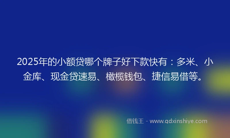 2025年的小额贷哪个牌子好下款快有：多米、小金库、现金贷速易、橄榄钱包、捷信易借等。