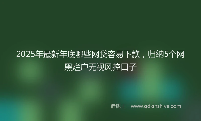 2025年最新年底哪些网贷容易下款，归纳5个网黑烂户无视风控口子