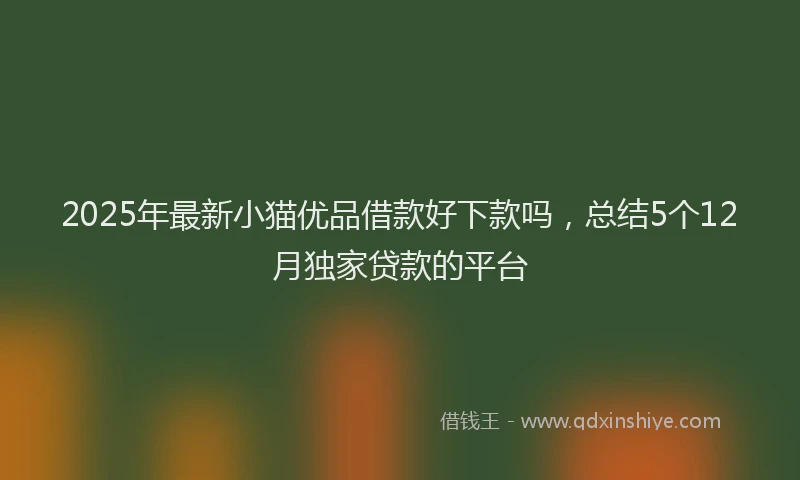 2025年最新小猫优品借款好下款吗，总结5个12月独家贷款的平台