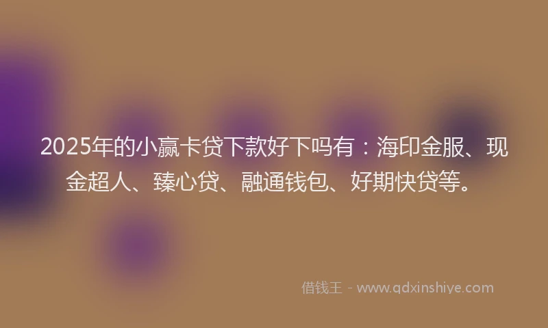 2025年的小赢卡贷下款好下吗有：海印金服、现金超人、臻心贷、融通钱包、好期快贷等。