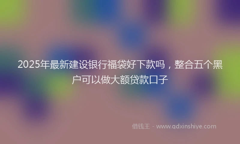 2025年最新建设银行福袋好下款吗，整合五个黑户可以做大额贷款口子