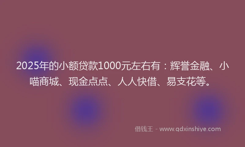 2025年的小额贷款1000元左右有：辉誉金融、小喵商城、现金点点、人人快借、易支花等。