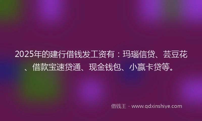 2025年的建行借钱发工资有：玛瑙信贷、芸豆花、借款宝速贷通、现金钱包、小赢卡贷等。