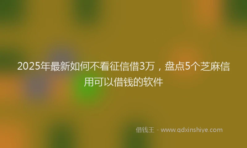 2025年最新如何不看征信借3万，盘点5个芝麻信用可以借钱的软件