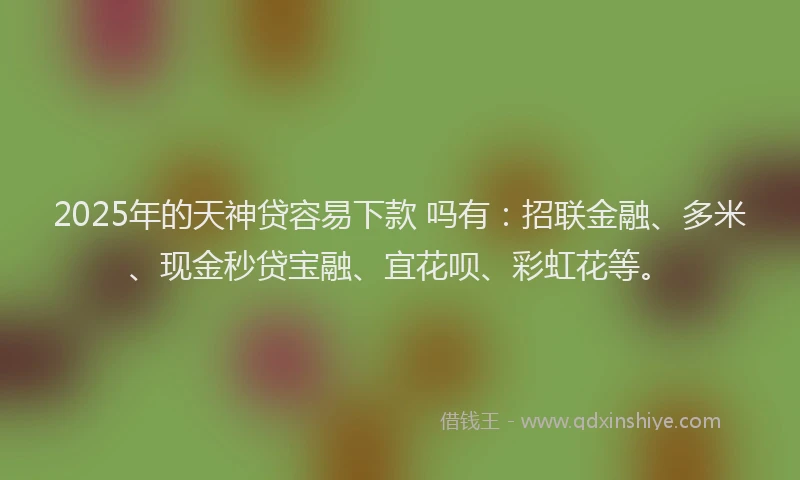 2025年的天神贷容易下款 吗有：招联金融、多米、现金秒贷宝融、宜花呗、彩虹花等。