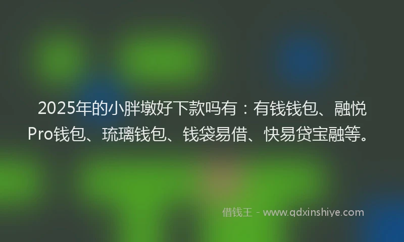 2025年的小胖墩好下款吗有：有钱钱包、融悦Pro钱包、琉璃钱包、钱袋易借、快易贷宝融等。