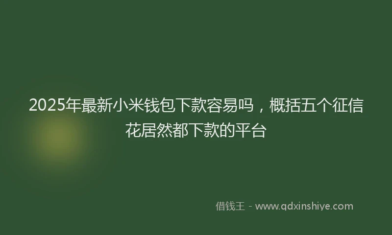 2025年最新小米钱包下款容易吗，概括五个征信花居然都下款的平台