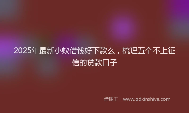 2025年最新小蚁借钱好下款么，梳理五个不上征信的贷款口子