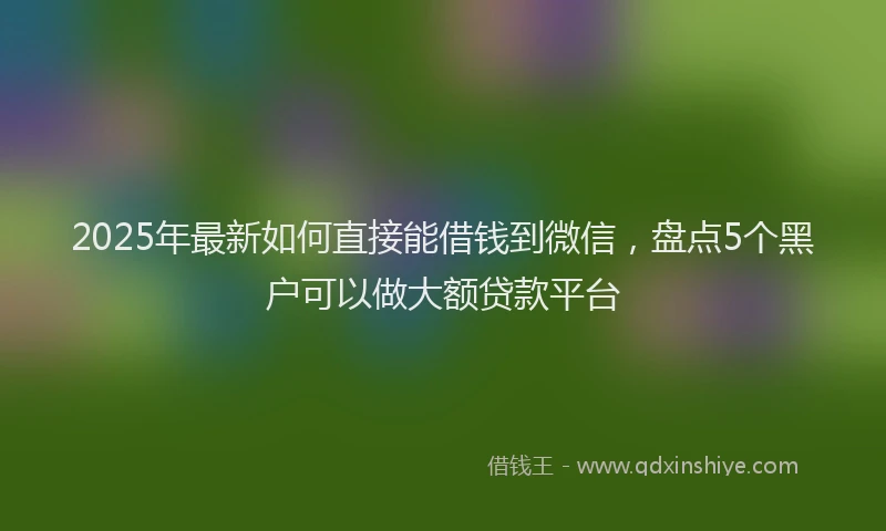 2025年最新如何直接能借钱到微信，盘点5个黑户可以做大额贷款平台