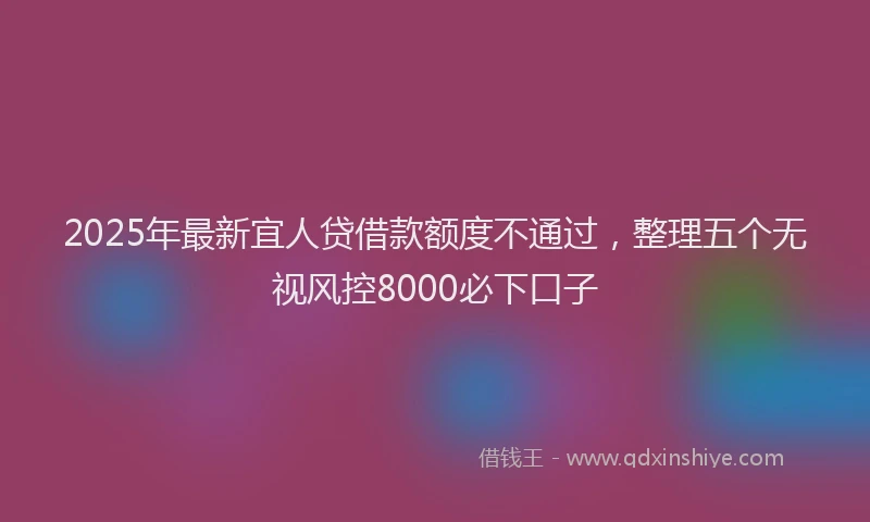 2025年最新宜人贷借款额度不通过，整理五个无视风控8000必下口子