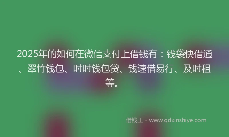 2025年的如何在微信支付上借钱有：钱袋快借通、翠竹钱包、时时钱包贷、钱速借易行、及时租等。