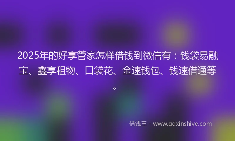 2025年的好享管家怎样借钱到微信有：钱袋易融宝、鑫享租物、口袋花、金速钱包、钱速借通等。