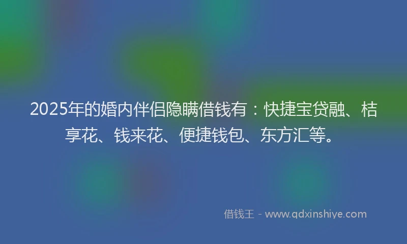 2025年的婚内伴侣隐瞒借钱有：快捷宝贷融、桔享花、钱来花、便捷钱包、东方汇等。