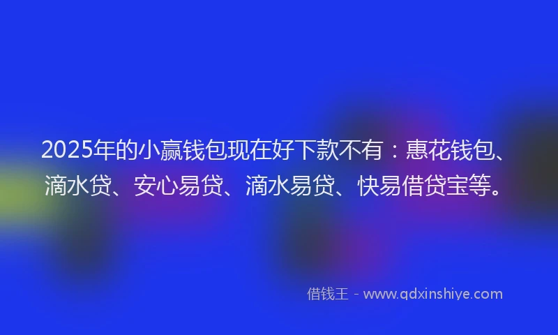 2025年的小赢钱包现在好下款不有：惠花钱包、滴水贷、安心易贷、滴水易贷、快易借贷宝等。