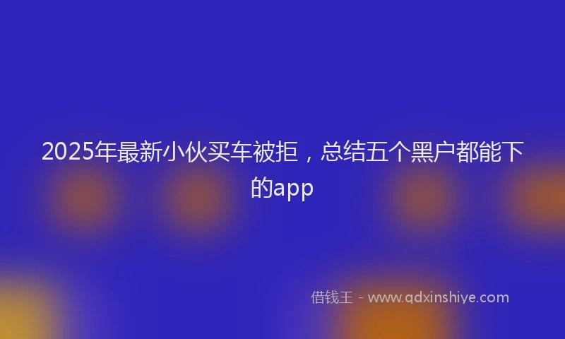 2025年最新小伙买车被拒，总结五个黑户都能下的app