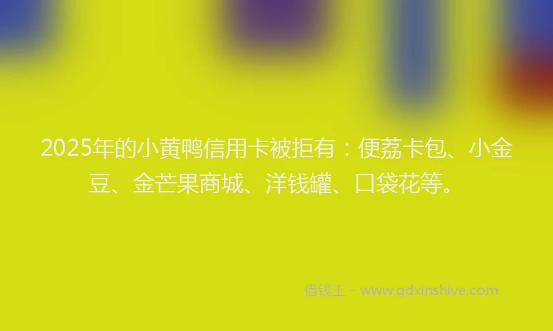 2025年的小黄鸭信用卡被拒有：便荔卡包、小金豆、金芒果商城、洋钱罐、口袋花等。