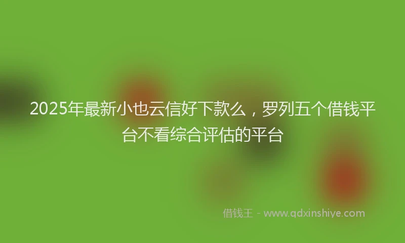 2025年最新小也云信好下款么，罗列五个借钱平台不看综合评估的平台
