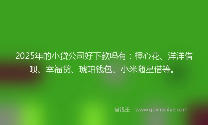 2025年的小贷公司好下款吗有：橙心花、洋洋借呗、幸福贷、琥珀钱包、小米随星借等。