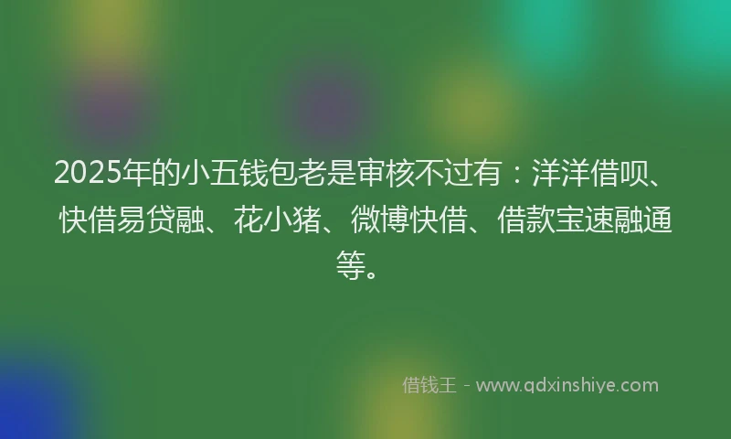 2025年的小五钱包老是审核不过有：洋洋借呗、快借易贷融、花小猪、微博快借、借款宝速融通等。
