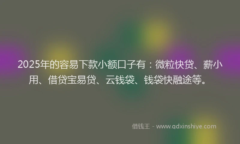 2025年的容易下款小额口子有：微粒快贷、薪小用、借贷宝易贷、云钱袋、钱袋快融途等。