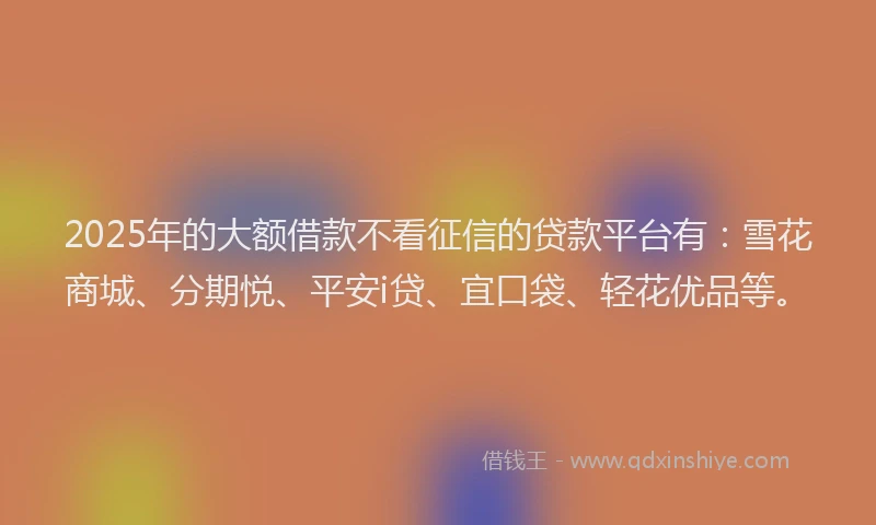 2025年的大额借款不看征信的贷款平台有：雪花商城、分期悦、平安i贷、宜口袋、轻花优品等。